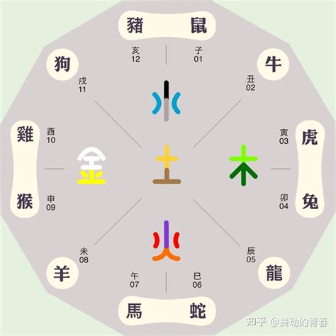 12生肖幸運顏色|五行命理！12生肖的幸運數字和顏色